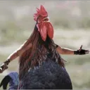 sebastr0n.