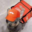 ixtupaki avatar