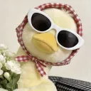stupi_duck