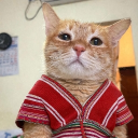 avatar ALPHA:) 🇵🇰