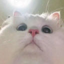 avatar ALPHA:) 🇵🇰