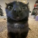 Аватар illya_28