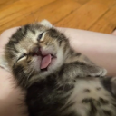 avatar BalashovRussia