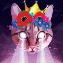 dft_therealf1nn
