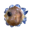 victordlp8