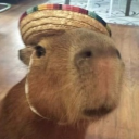 avatar Imaginedreamer 🥐