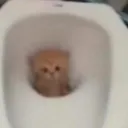 hugiesss