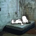 kfoa