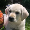 l̸̛͌u̸͛͠n̷̈́̉c̴̫͛h̶̀̚