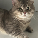 Nguyễn Thái Hoàng