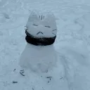 imsleet
