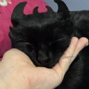 ki1tsunee#8552's avatar