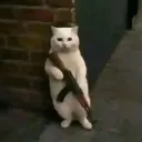 sstun