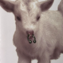 avatar 𝕱𝖆𝖑𝖔𝖕𝖆.