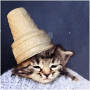 avatar 𝕱𝖆𝖑𝖔𝖕𝖆.