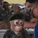 yurrrrrrrr5485