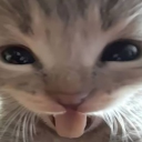 avatar מורןהמלכהשלכולם 🥰