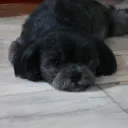 yazuuu.