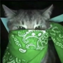 avatar progamer_Andre