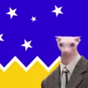 bingusksp