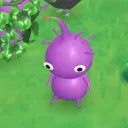 c.ke