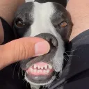 acejd