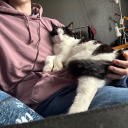 avatar ᵇˡᵘᵉᵇ☆ʳʳʸ