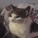 .bahmi