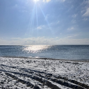 avatar Snow on the beach❄