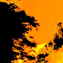 venganqolbom