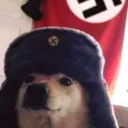 elpimo. avatar