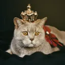 x4seza