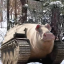 avatar Mr Schrubbelschniedel