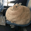 avatar ⃟⃟⃟⃟⃟⃟zoyzoy