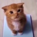 avatar ⃟⃟⃟⃟⃟⃟