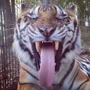 avatar 𝔳𝔞𝔪𝔭