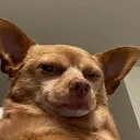rchlsu