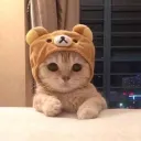 {!*𝓢𝓱𝓪𝓭𝔂*!}