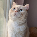 avatar Eren kahraman