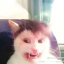 skadiable_