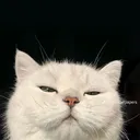 skadiable_
