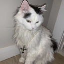 avatar MassivodaSilvaTheodore IV