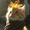 avatar MassivodaSilva