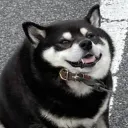 inari__06