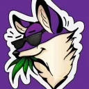 dash_5448 avatar