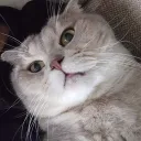 keiosoup