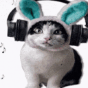 avatar лёха