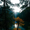 fx.vis