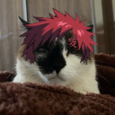 avatar mah
