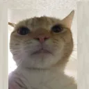 sl4yf3r avatar